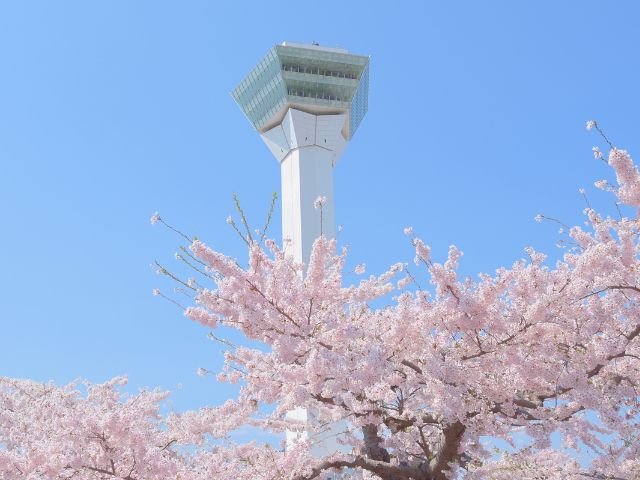 Hokkaido Goryokoku Park tower observatory