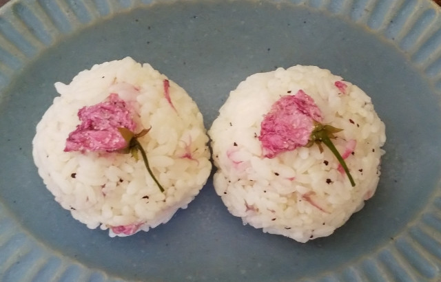sakura onigiri made with salted cherry blossoms
