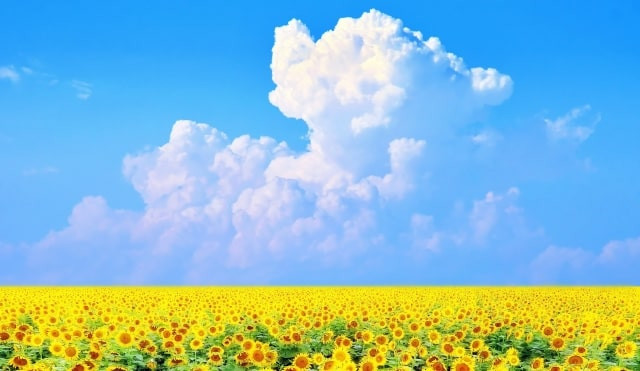 Imágenes de palabras de verano con bonitos sonidos.