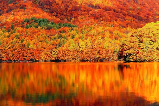 Imágenes de palabras otoñales con bonitos sonidos.