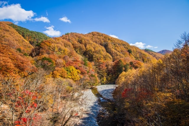 Hermosas imágenes japonesas [de la naturaleza]