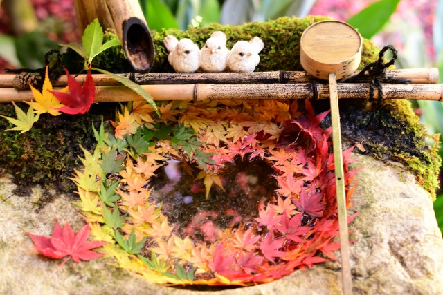 Imagen del concepto de wabi-sabi que también es aplicable en el extranjero