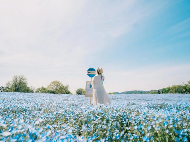 플라워빌리지 카무노사토(Flower village 花夢の里) 이미지