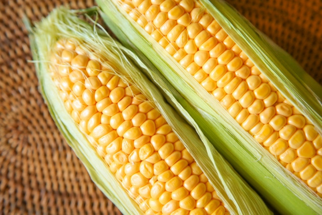 Imágenes en color tradicionales japonesas de verano.