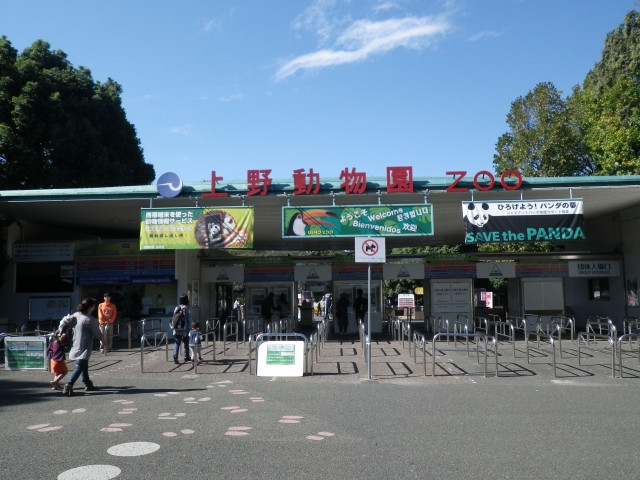 Imágenes del Zoológico de Ueno (Tokio)