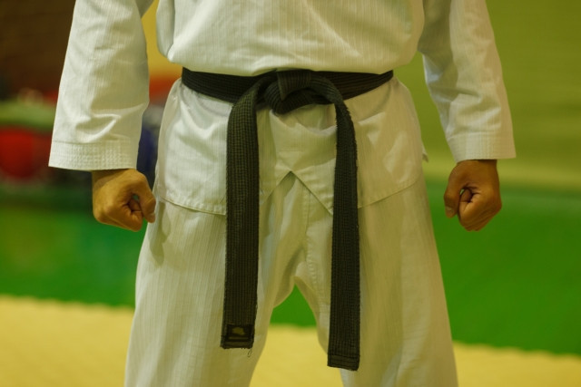 Resumen de tipos de artes marciales! Imagen de Conozcamos las características de cada uno