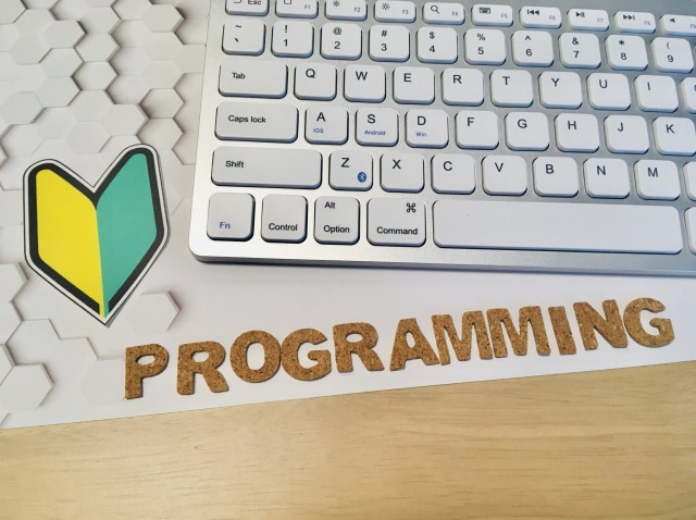 Kỹ sư công nghệ thông tin Nhật Bản