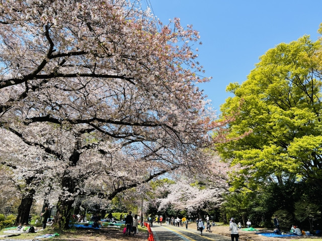 โคมาซาวะ โอลิมปิค พาร์ค