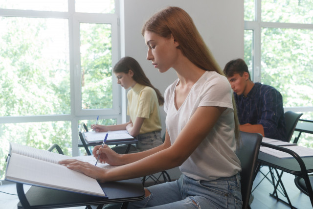 Imagen de habilidades necesarias para el trabajo de interpretación