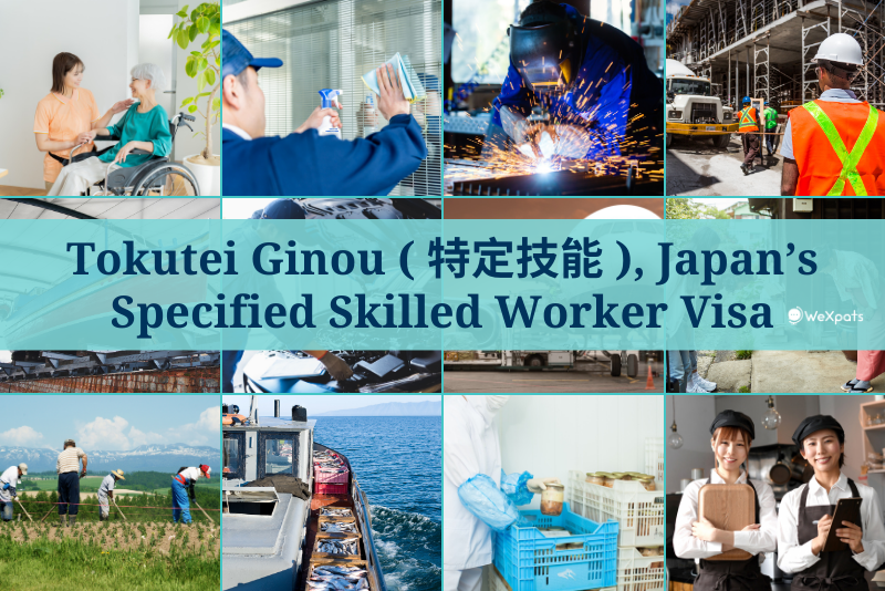 12 industries of tokutei ginou ssw visa