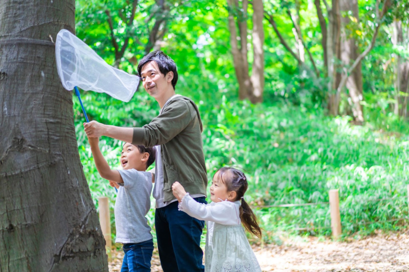 imagen repelente de insectos