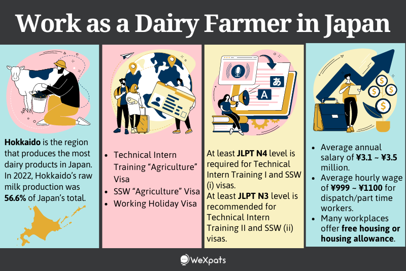 work as a dairy farmer in japan