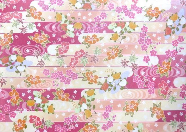 Imágenes de flor de cerezo