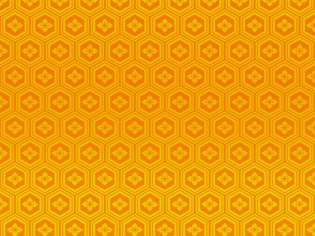 imagen de caparazón de tortuga