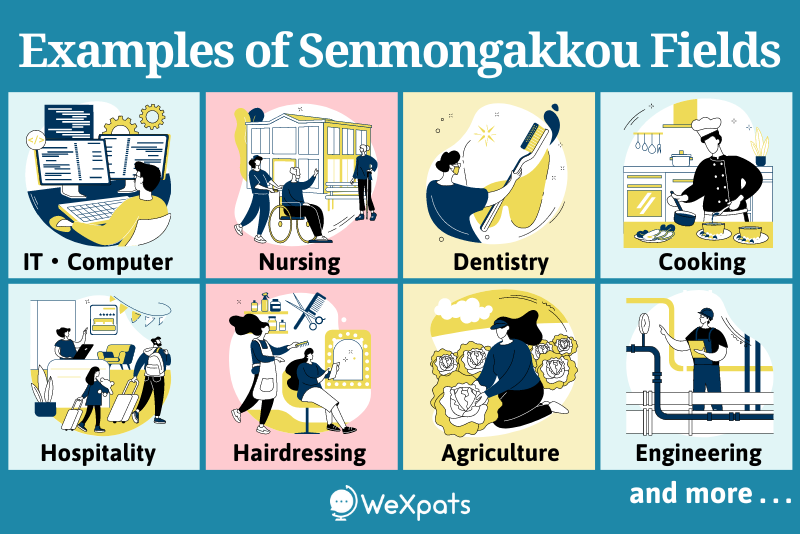 senmongakko courses and career paths