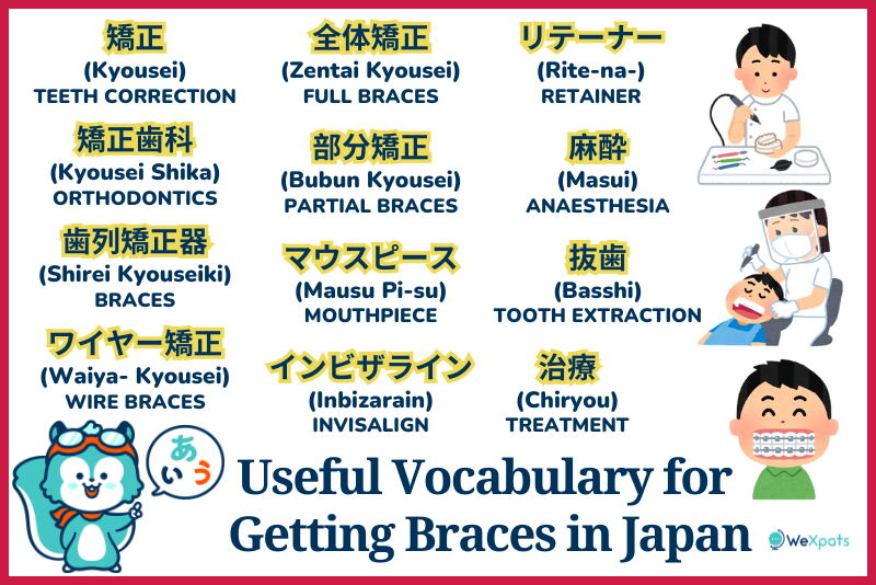Useful Japanese Vocabulary for Getting Braces in Japan
