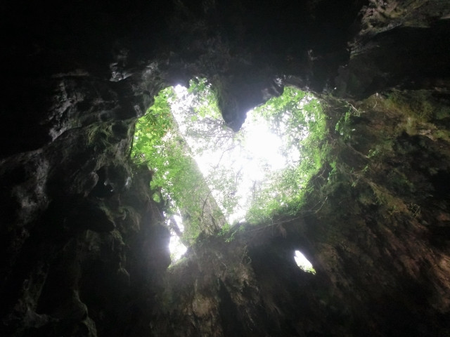 Imágenes de yakushima