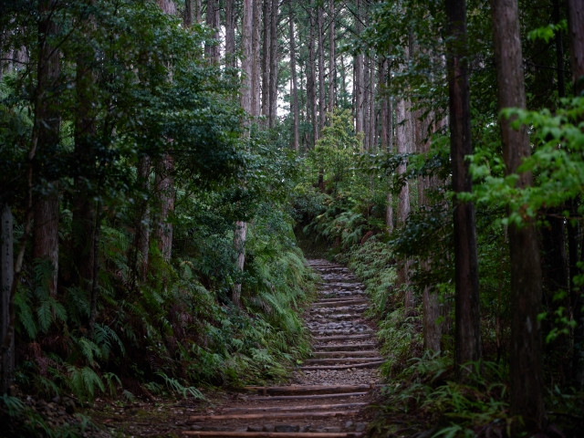 Imágenes de lugares sagrados y rutas de peregrinación en las montañas Kii