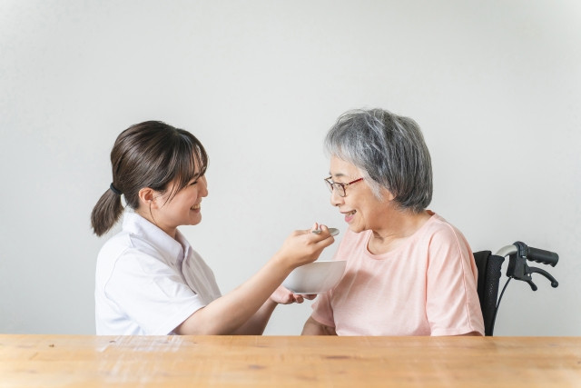 meal assistance by caregiver in japan