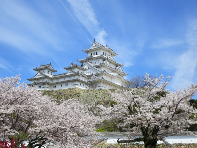 Imágenes de castillo himeji