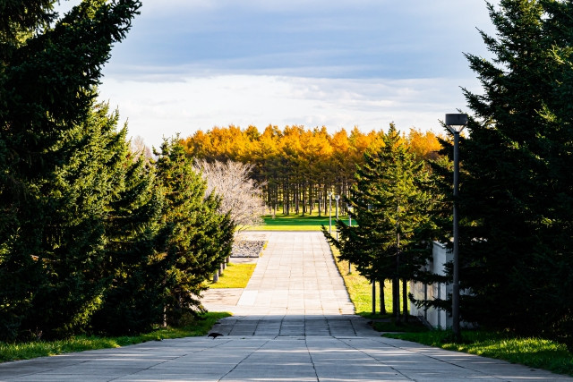 Imágenes del Parque Moerenuma