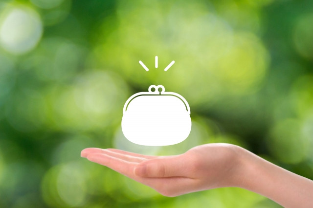 what is the lump-sum withdrawal payment