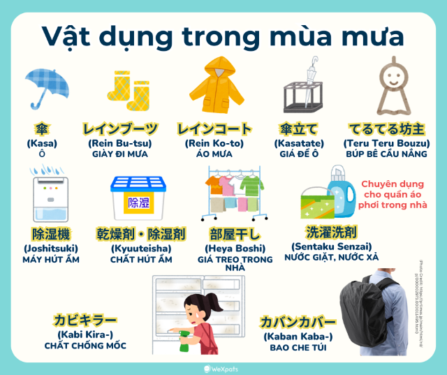 Tsuyu - Mùa mưa ở Nhật Bản