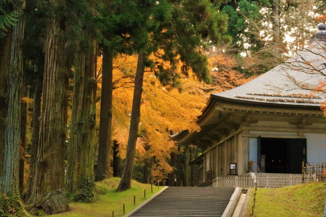 imagen Chusonji Konjikido