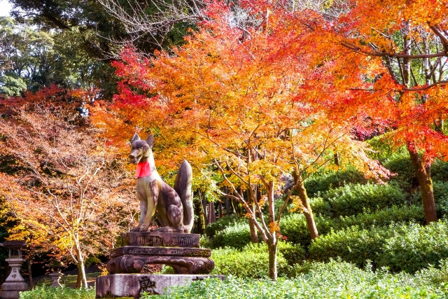 Imágenes de edificios históricos en la región de Kinki.