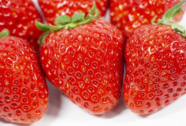 Fresas de un trabajo de recolección de frutas.