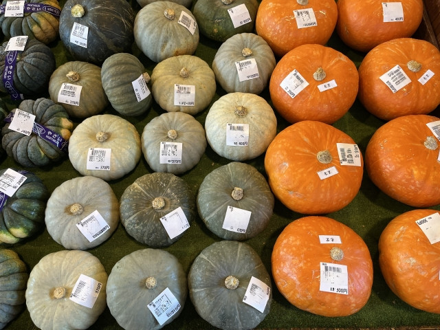 mùa thu Nhật Bản