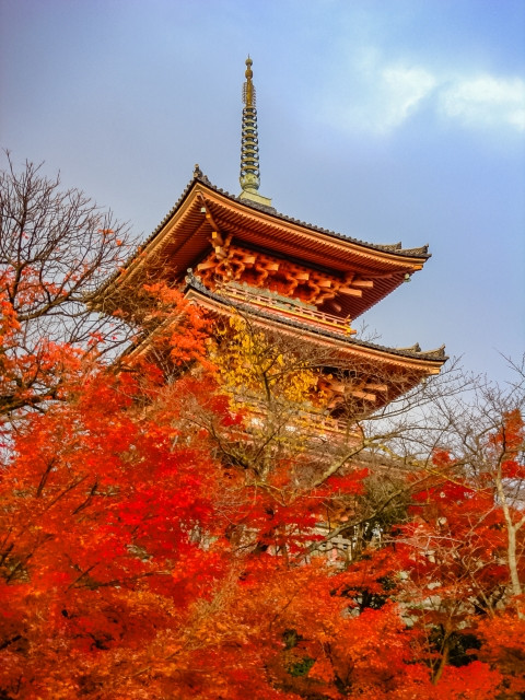 mùa thu Nhật Bản