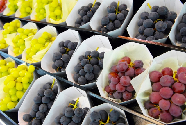 mùa thu Nhật Bản