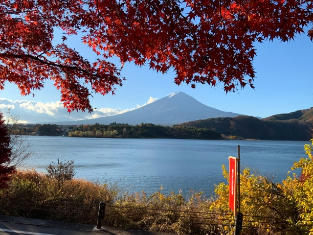 mùa thu Nhật Bản