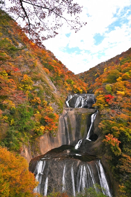 mùa thu Nhật Bản