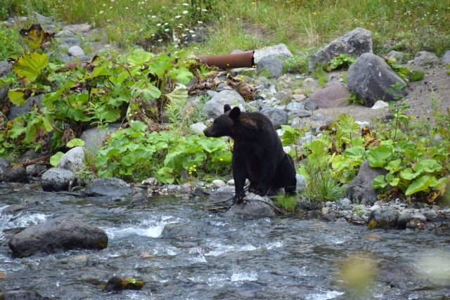 Imagen de puntos a tener en cuenta en el clima otoñal de Japón
