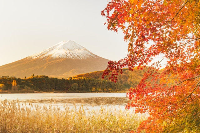 Imágenes de los famosos festivales de otoño que se celebran en otoño en Japón