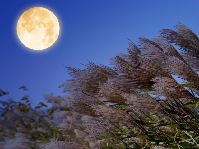 Imágenes de viendo la luna