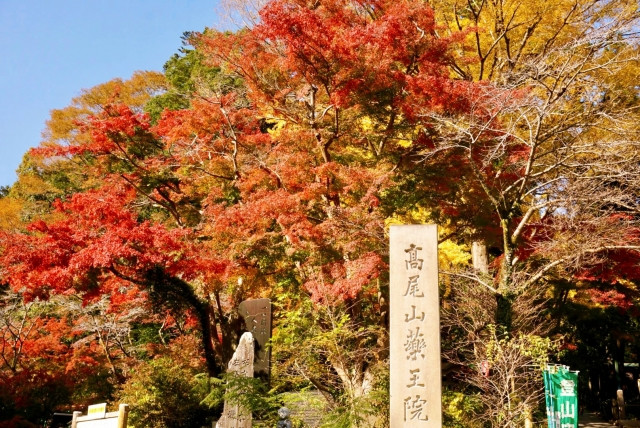 Imagen del Monte Takao (Tokio)