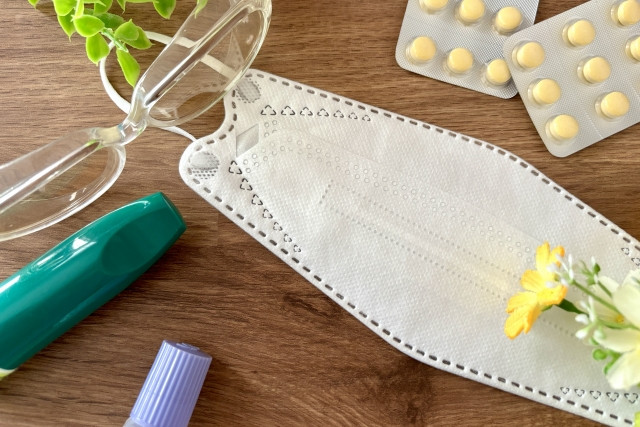 hoa mùa thu Nhật Bản