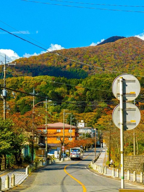 lá đỏ Nhật Bản