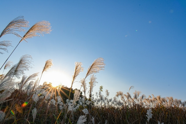 Imágenes de altura de otoño