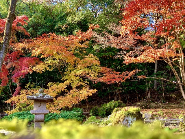 Imagen de una lista de palabras estacionales que se pueden utilizar a finales de otoño.