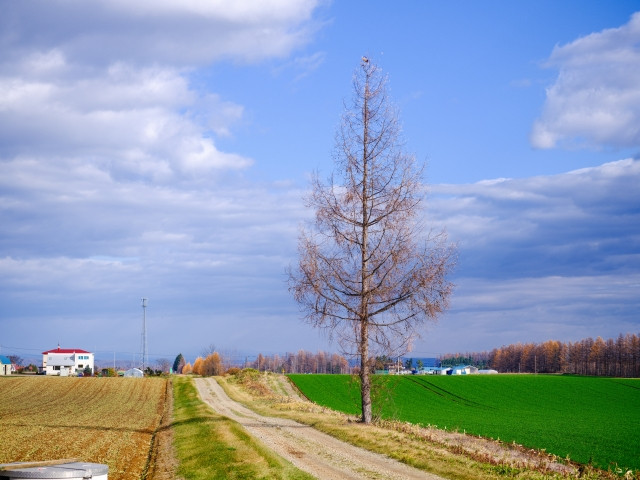 Imagen del ranking de prefecturas con baja densidad de población en Japón