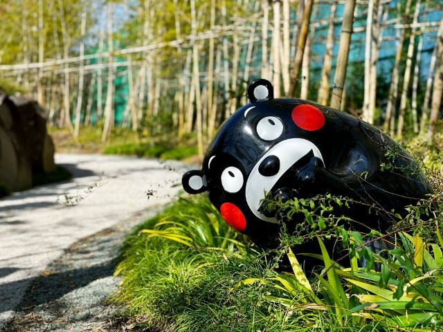 Imágenes del dialecto de Kumamoto que la gente de otras prefecturas encuentra “lindas”