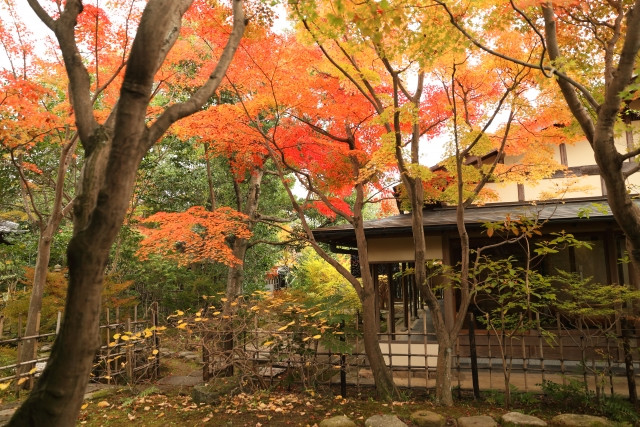 秋の季語を使った有名な俳句の画像