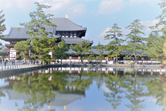 Imagen de algunos extranjeros que visitan la prefectura de Nara con fines de residencia