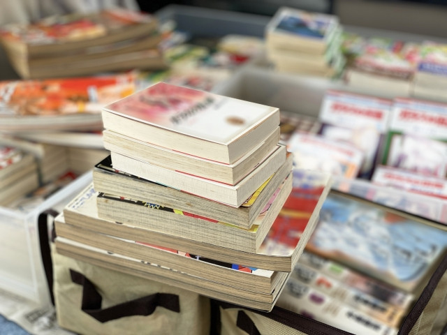 Imagen de por qué el manga japonés es popular