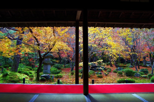 Imágenes de 4 puntos importantes para los extranjeros a la hora de hacer turismo en Kioto