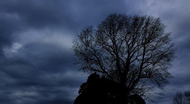 Imágenes de las Siete Maravillas de Honjo